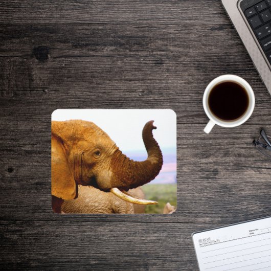 Elephant Scents Wildlife Fotografy Mousepad