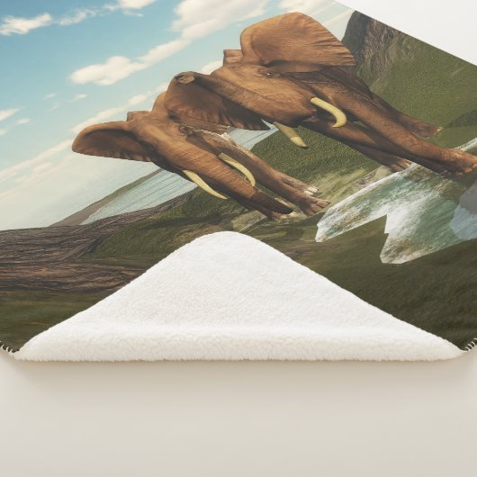 Elephant Sherpadecke (3/4)