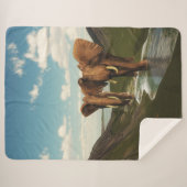 Elephant Sherpadecke (Vorderseite (Horizontal))