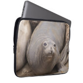 Elephant Siegel Laptopschutzhülle (Vorne Rechts)