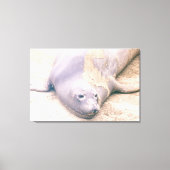 Elephant Siegel Leinwanddruck (Vorderseite)