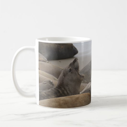 Elephant Siegel Rookery San Simeon, CA Kaffeetasse (Links)
