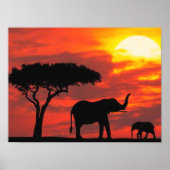 Elephant Silhouette Scene mit Orange Sky Poster (Vorne)