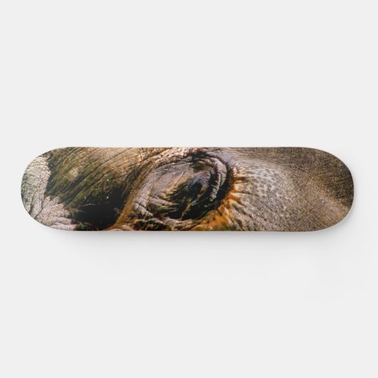 ELEPHANT SKATEBOARD (Horizontal)