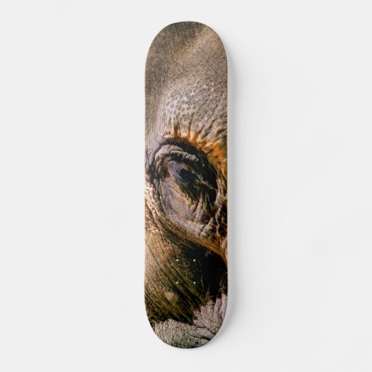 ELEPHANT SKATEBOARD (Vorderseite)