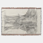 Elephant Sketch Decke (Vorderseite)