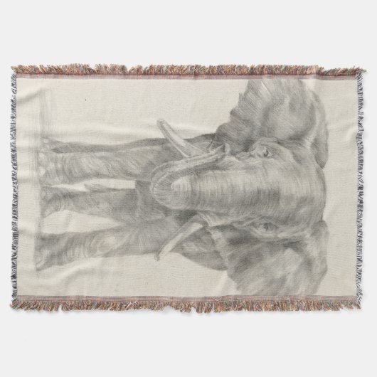 Elephant Sketch Decke (Vorderseite)