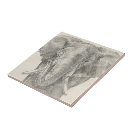 Elephant Sketch Fliese (Seite)
