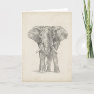 Elephant Sketch Karte