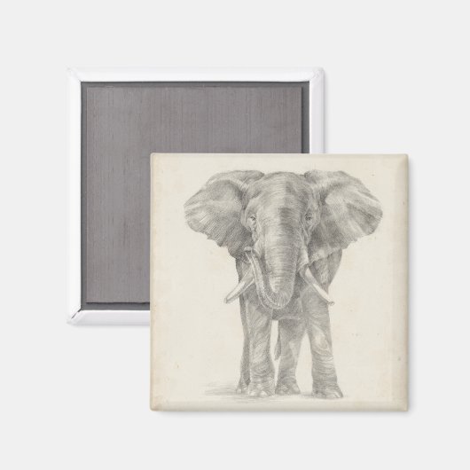 Elephant Sketch Magnet (Vorderseite/Rückseite)