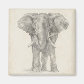 Elephant Sketch Magnet (Vorne)