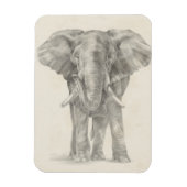 Elephant Sketch Magnet (Vertikal)