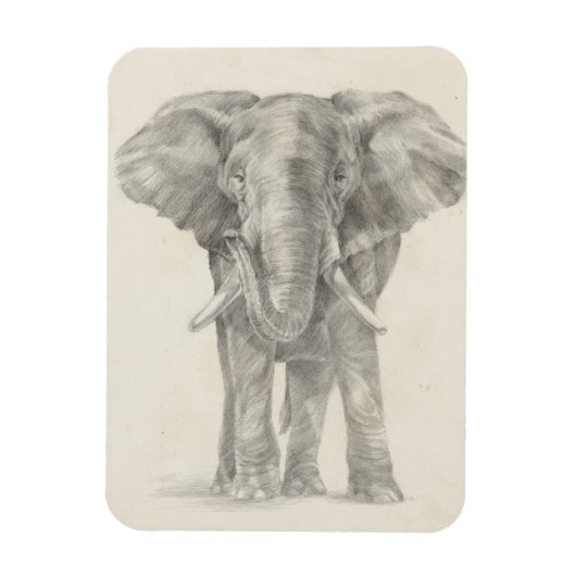 Elephant Sketch Magnet (Vertikal)