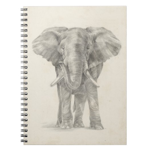 Elephant Sketch Notizblock (Vorderseite)