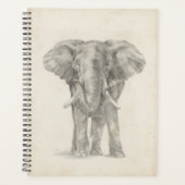 Elephant Sketch Planer (Vorderseite)