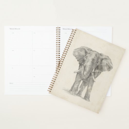 Elephant Sketch Planer (Anzeige)