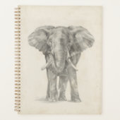 Elephant Sketch Planer (Vorderseite)