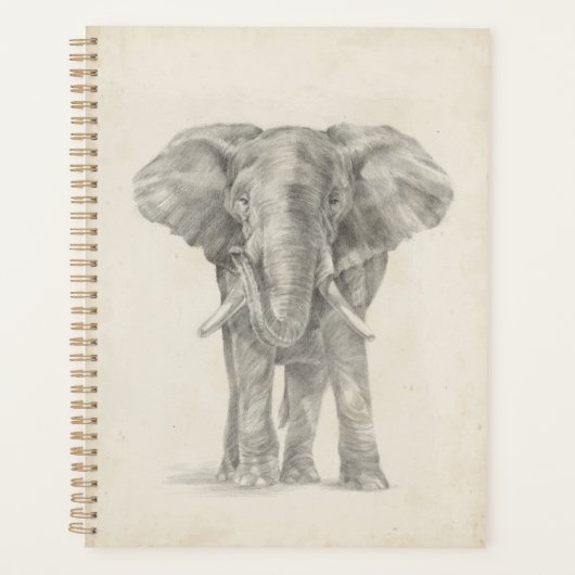 Elephant Sketch Planer (Vorderseite)