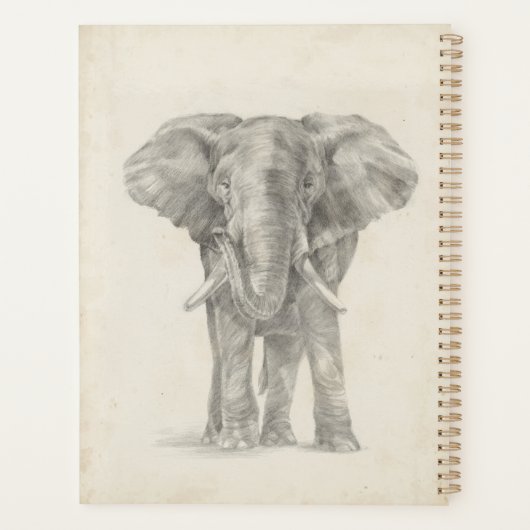 Elephant Sketch Planer (Rückseite)