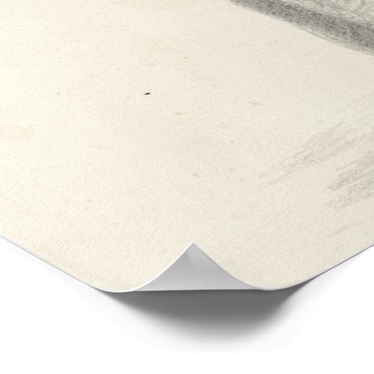 Elephant Sketch Poster (Ecke)