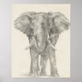 Elephant Sketch Poster (Vorne)