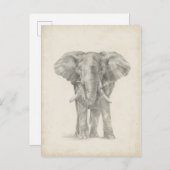 Elephant Sketch Postkarte (Vorne/Hinten)