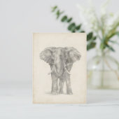 Elephant Sketch Postkarte (Stehend Vorderseite)