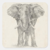 Elephant Sketch Quadratischer Aufkleber (Vorderseite)