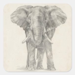 Elephant Sketch Quadratischer Aufkleber