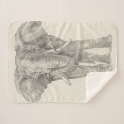 Elephant Sketch Sherpadecke (Vorderseite (Horizontal))