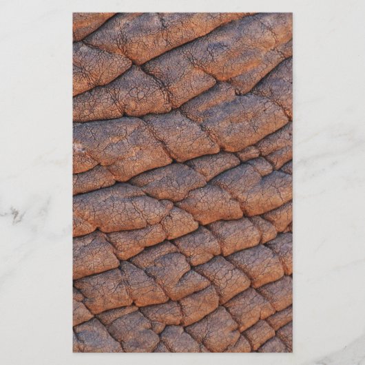 Elephant Skin Briefpapier (Vorderseite)