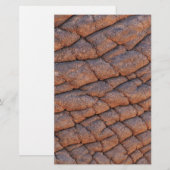Elephant Skin Briefpapier (Vorne/Hinten)