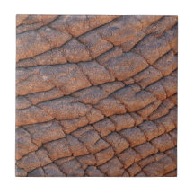 Elephant Skin