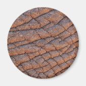 Elephant Skin Magnet (Vorne)