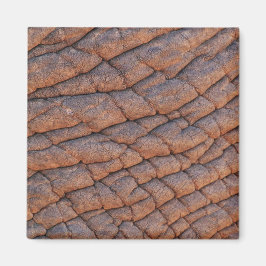 Elephant Skin Magnet