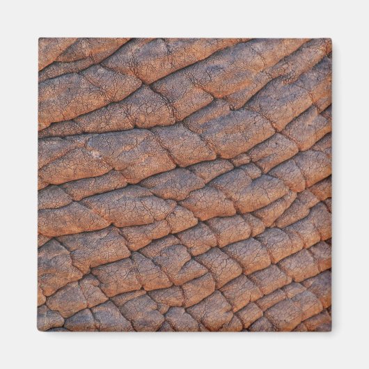 Elephant Skin Magnet (Vorne)