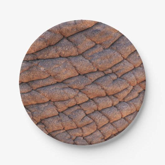 Elephant Skin Pappteller (Vorderseite)