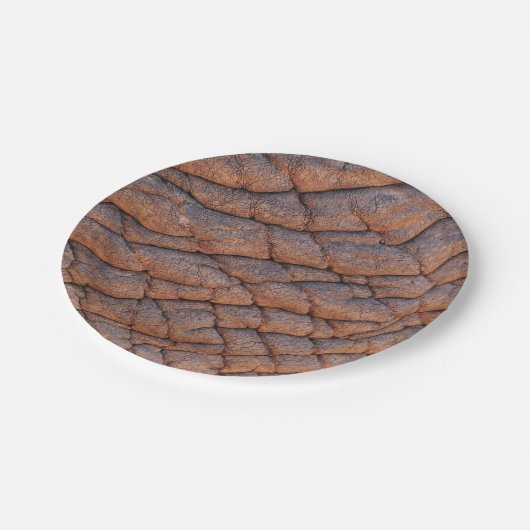 Elephant Skin Pappteller (Schrägansicht)