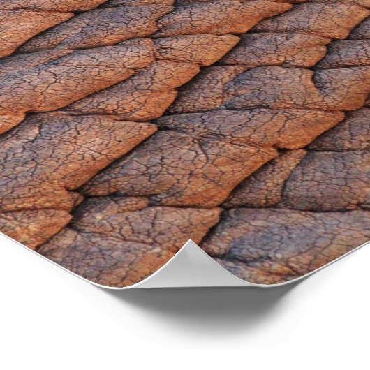 Elephant Skin Poster (Ecke)