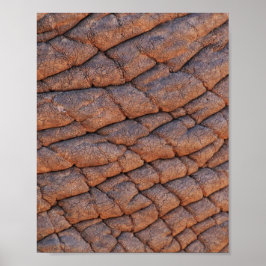 Elephant Skin Poster
