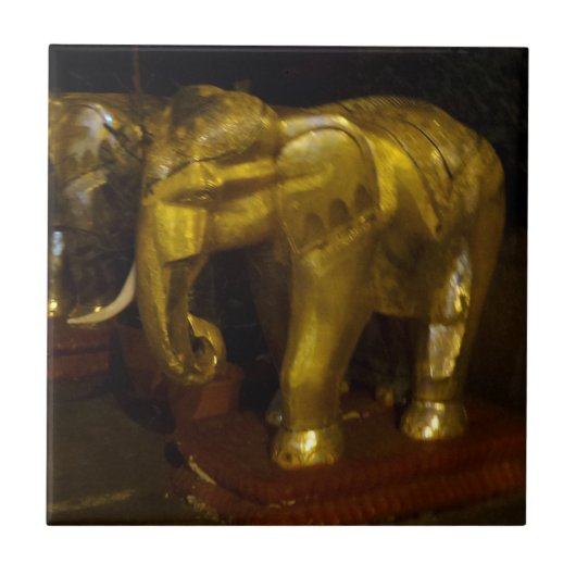Elephant Small (4,25" x 4,25") Keramik Foto Tile Fliese (Vorderseite)