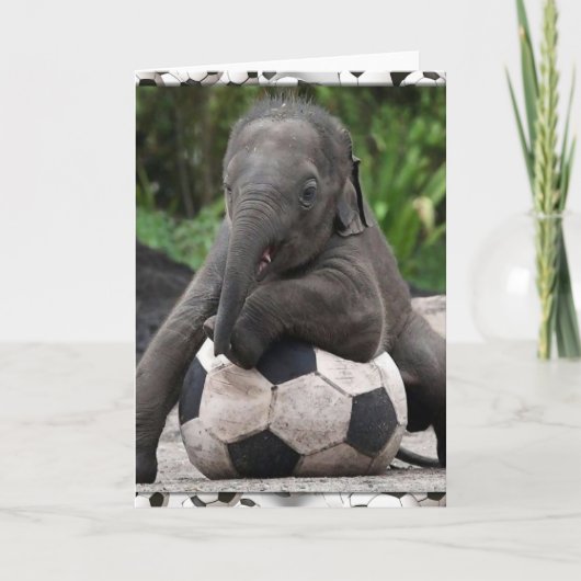 Elephant Soccer Karte (Vorderseite)
