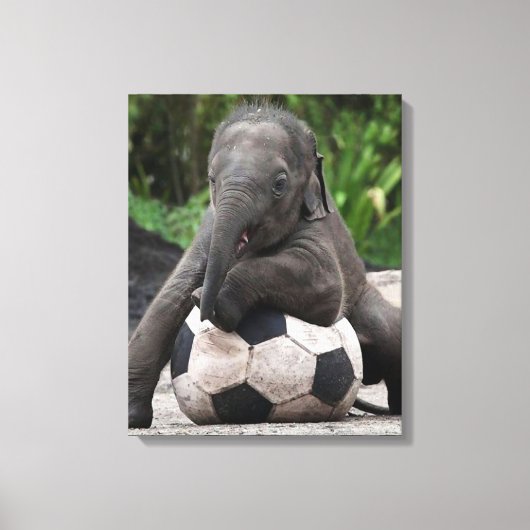 Elephant Soccer Wrapped Canvas Print Leinwanddruck (Vorderseite)