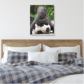 Elephant Soccer Wrapped Canvas Print Leinwanddruck (Insitu (Schlafzimmer))