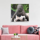 Elephant Soccer Wrapped Canvas Print Leinwanddruck (Insitu (Wohnzimmer))