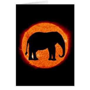 Elephant Solar Eclipse