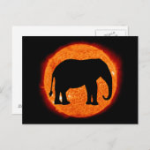Elephant Solar Eclipse Postkarte (Vorne/Hinten)