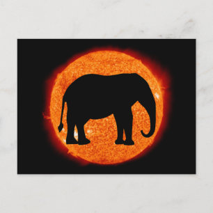 Elephant Solar Eclipse Postkarte