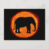 Elephant Solar Eclipse Postkarte (Vorderseite)