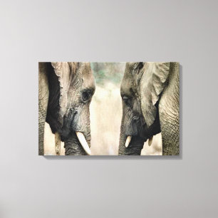 Elephant Soulmates Leinwanddruck